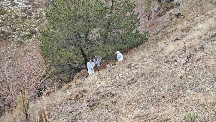 3858443 E993C05Cd5B97Caf9Ab6Adccba6171Ae