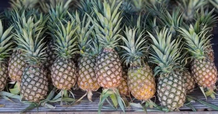 752X395 1622460475205