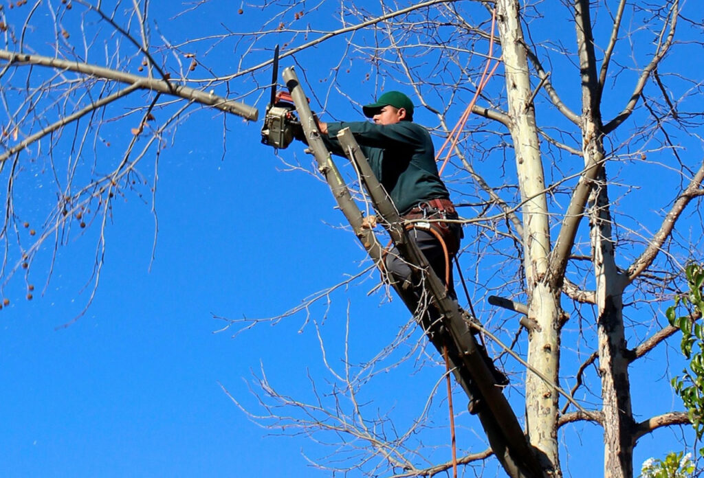 A G A C K E S M E K 1024X696