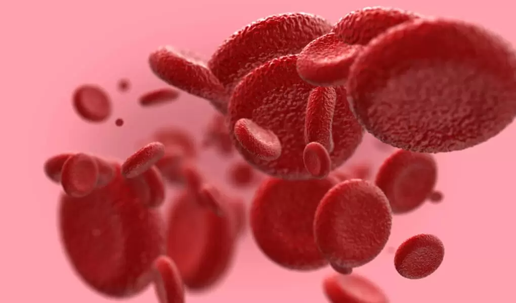 Bahceci Blog Hgb Hemoglobin Nedir