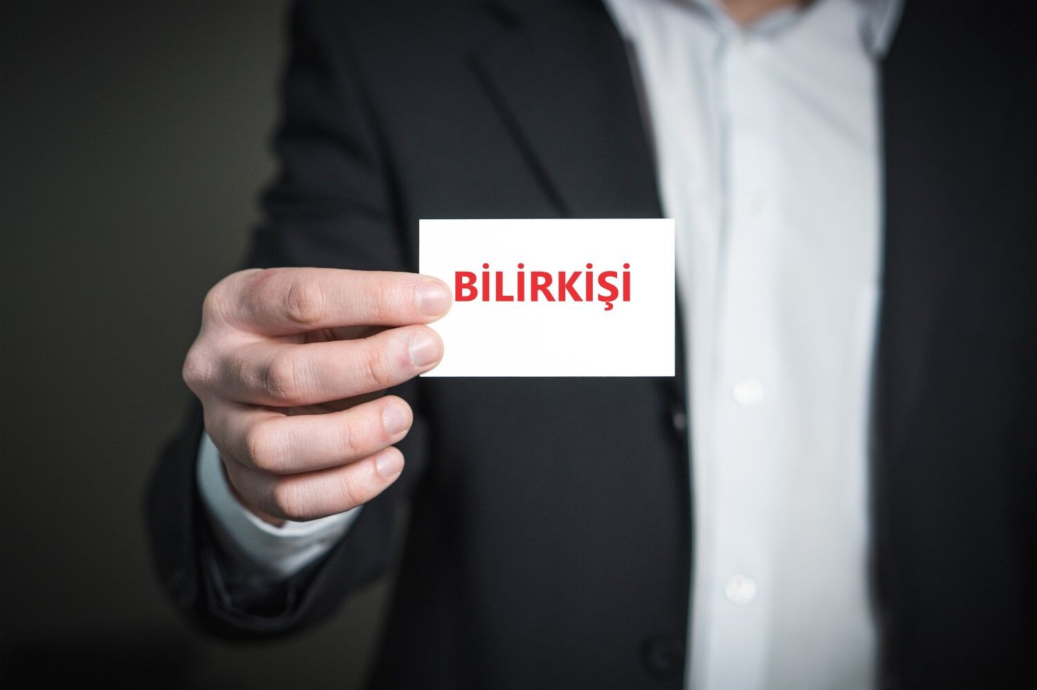 Bilirkisi
