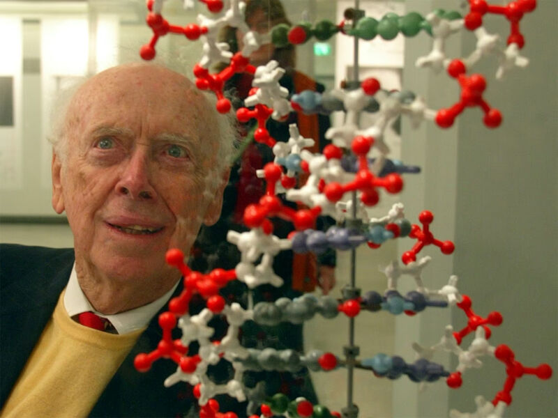 Dna1