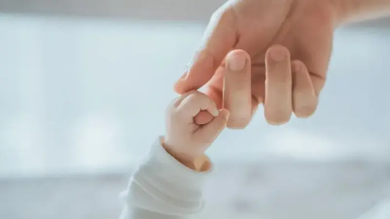Dogum Izni Ne Zaman 24 Hafta Olacak Yasa Meclisten Gecti Mi