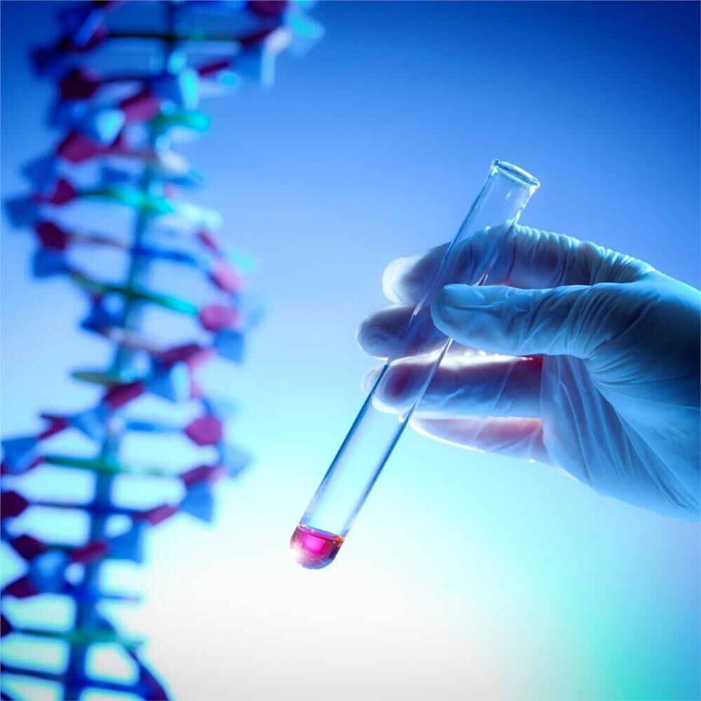 Fetal Dna Test 03 01 2025 13 40