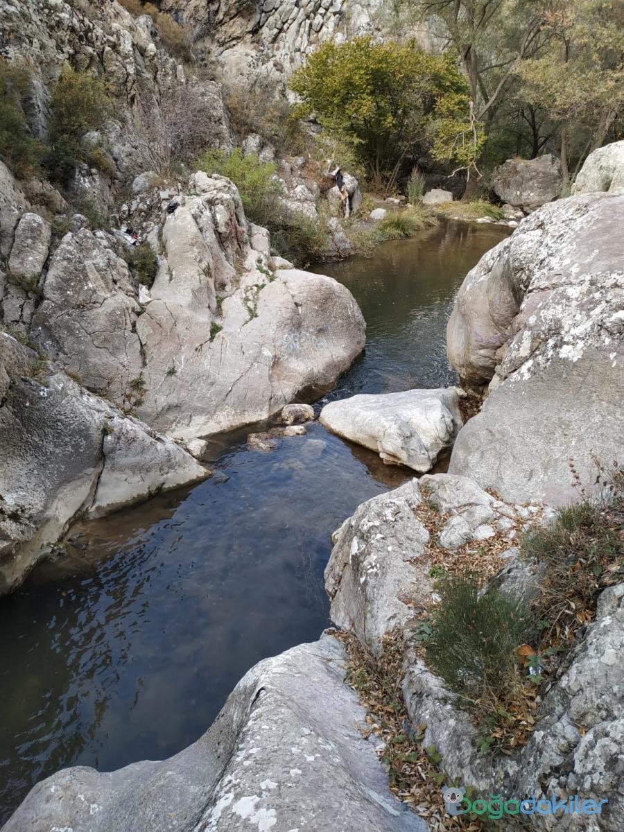 K I B R I S V A D İ S İ.2