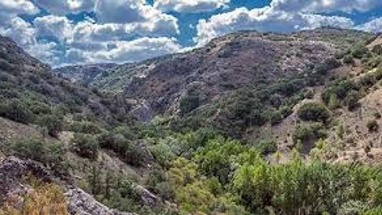 K I B R I S V A D İ S İ.3