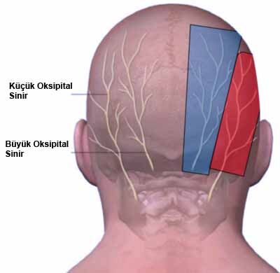 Oksipital Sinir1 Edited