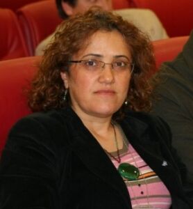Sultan Ozer