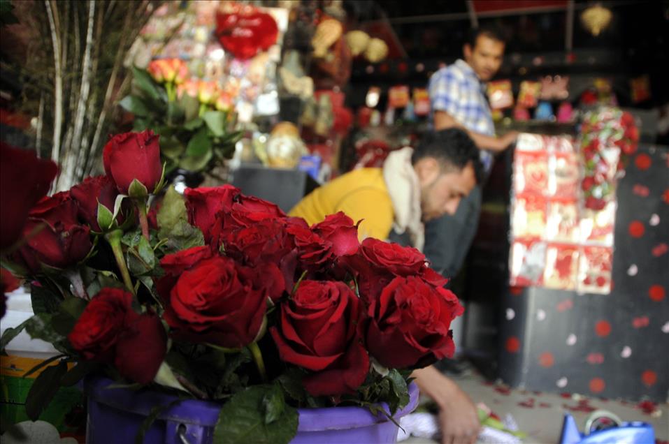 Thumbs B2 B3F0D10272Bea65F6B0175B6Ac7Caa5B