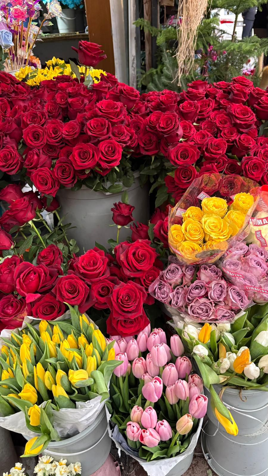 Whatsapp Image 2026 02 01 At 14.05.40