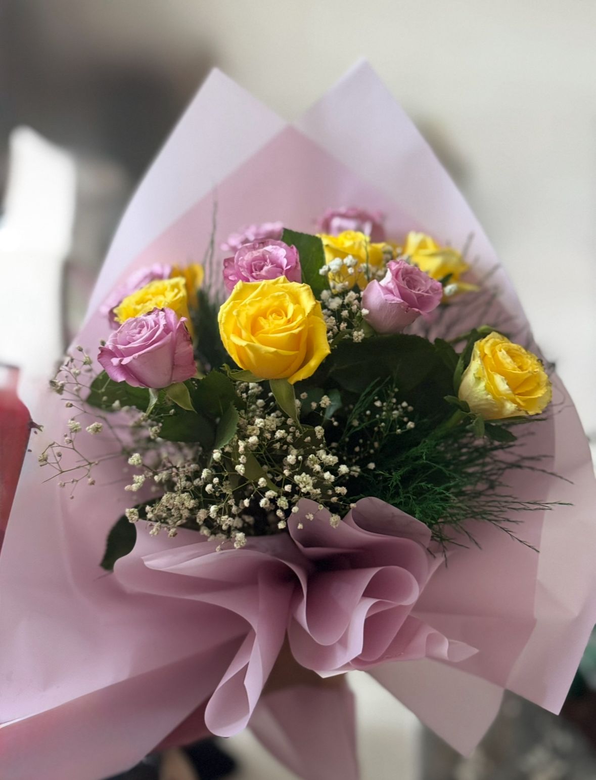 Whatsapp Image 2026 02 01 At 14.32.03