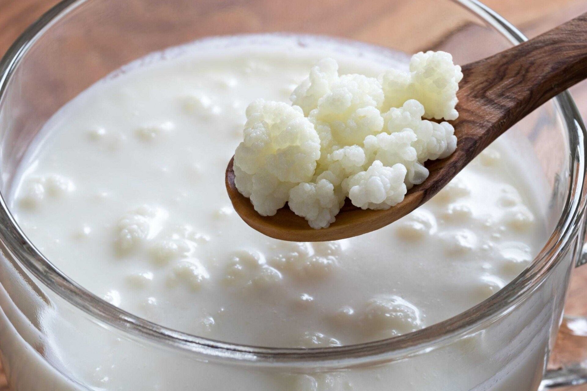 442 Ev Uretimi Dogal Sut Kefir Mayasi Kefir Yararlari Jpg Kefir Yararlari