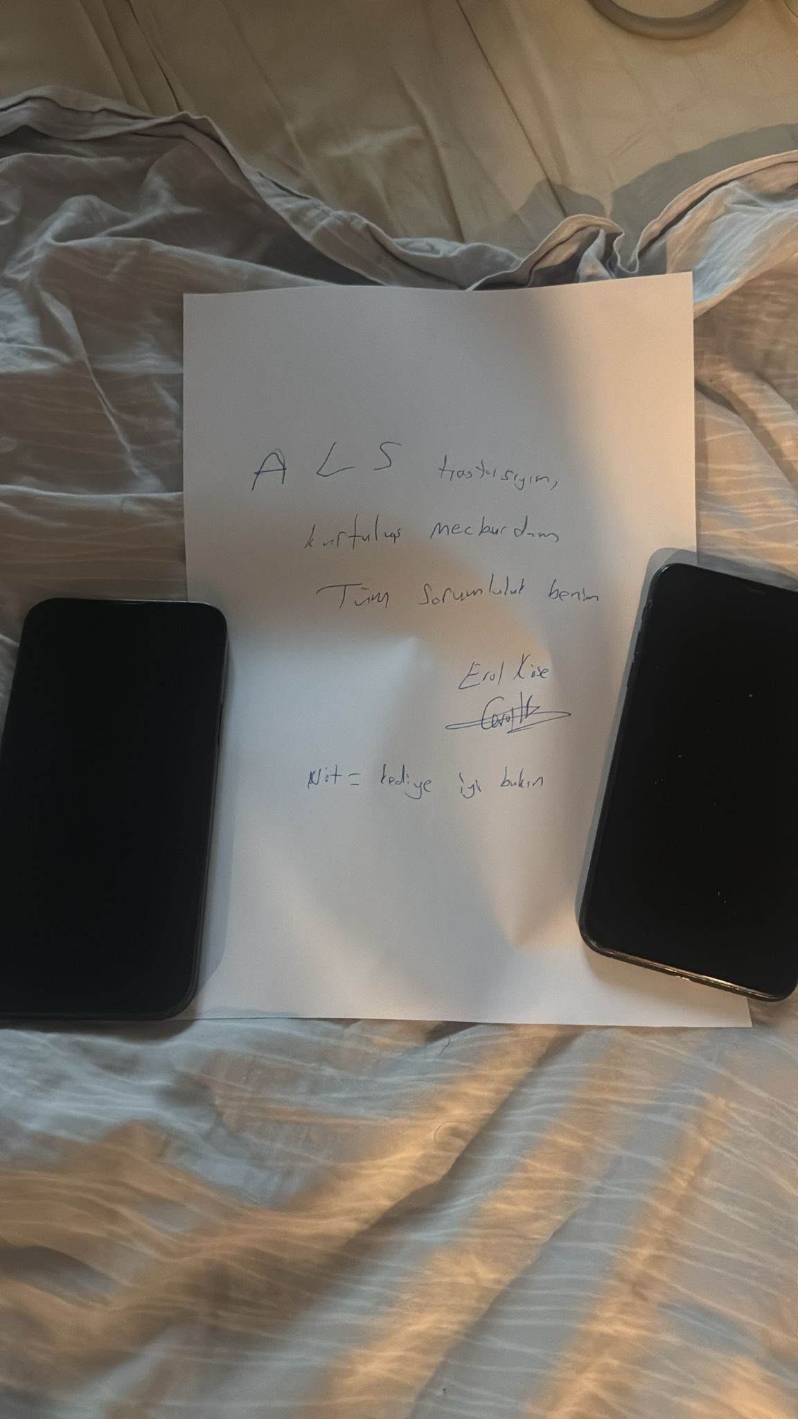 A W667869 02