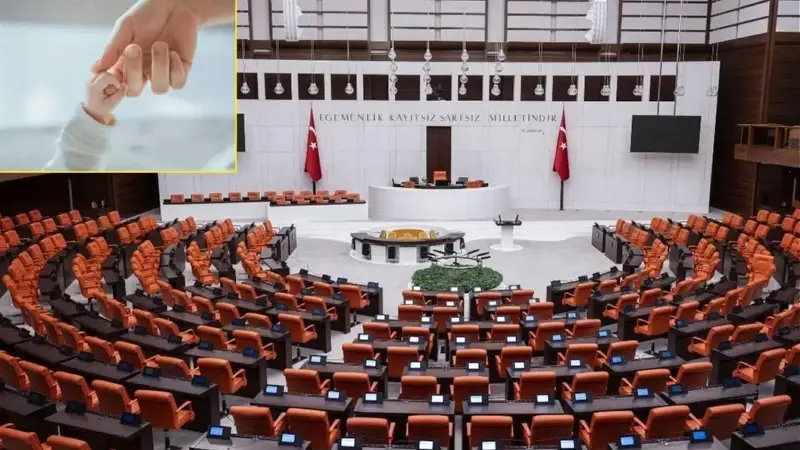 Dogum Izni 24 Hafta Oldu Mu Yeni Torba Yasa Tbmm Den Gecti Mi