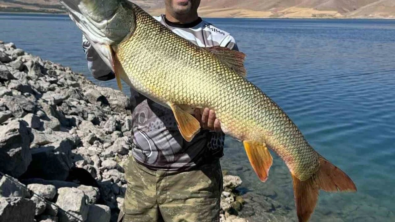 Elazigda Amator Balikci 41 Kilogramlik Turna Baligi Yakaladi