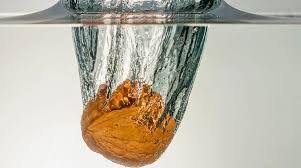 Images (2)-54