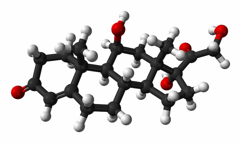 Kortizol Hormonundan Bir Molekul Temsili Resmi