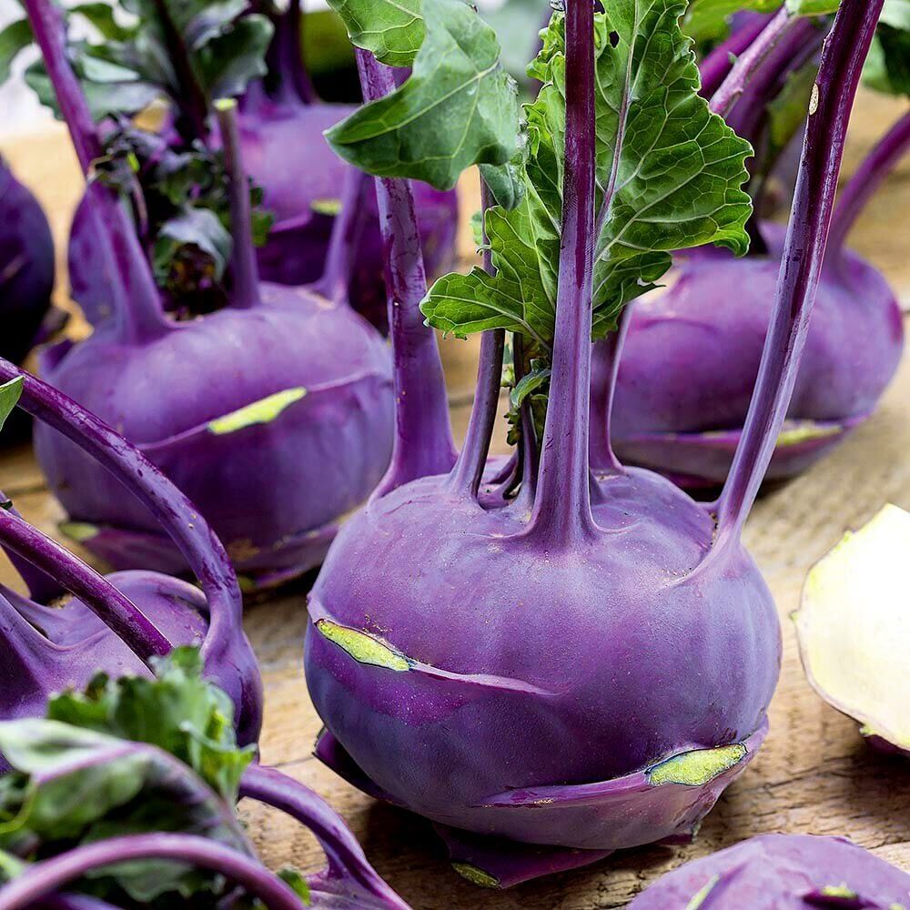 Mor Alabas Tohumu Kohlrabi Purple Vienna 4