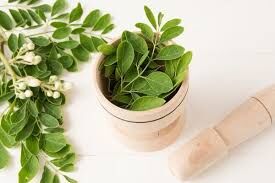 Moringa2