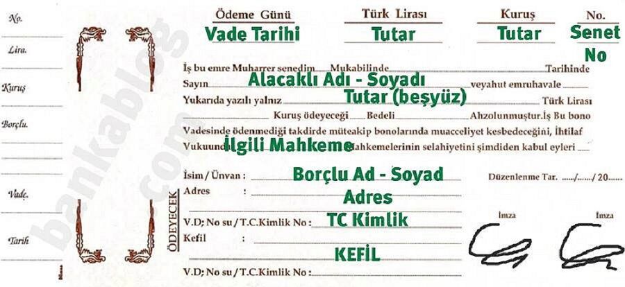 Nasil Doldurulur