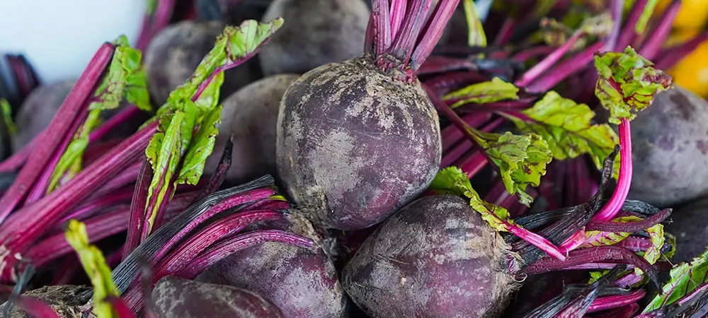 Pancar 23 87772 Web Image B