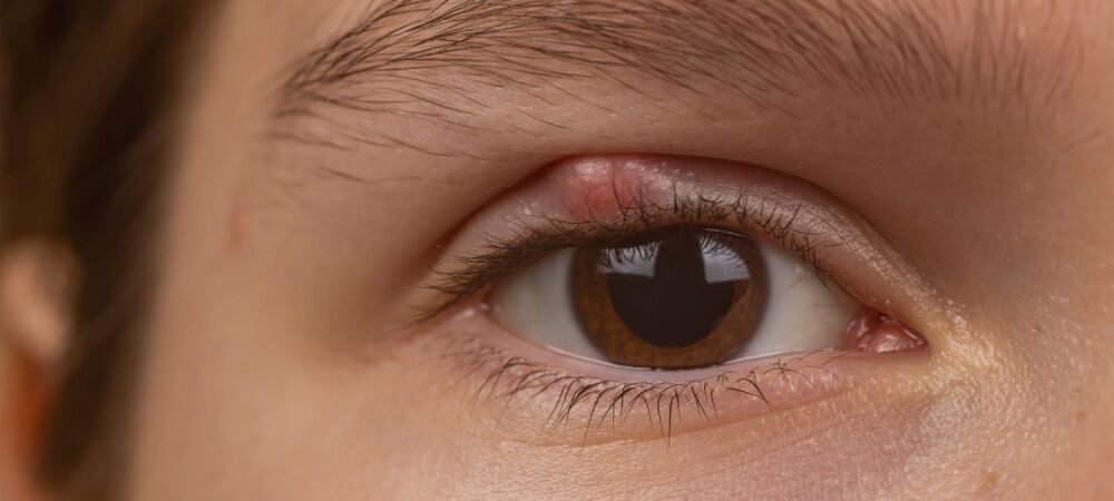 Shutterstock 2456533709