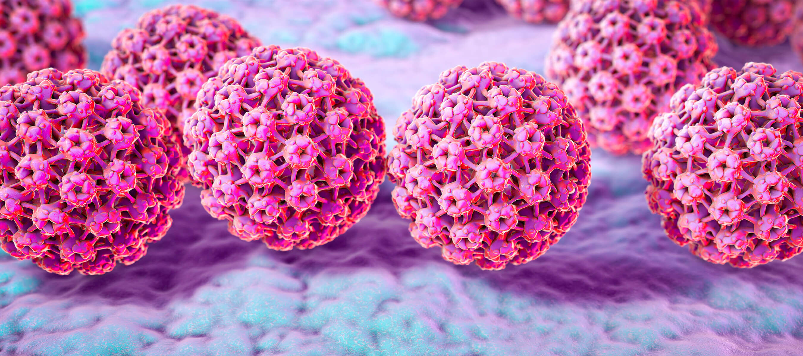 Sigil Hpv Nedir