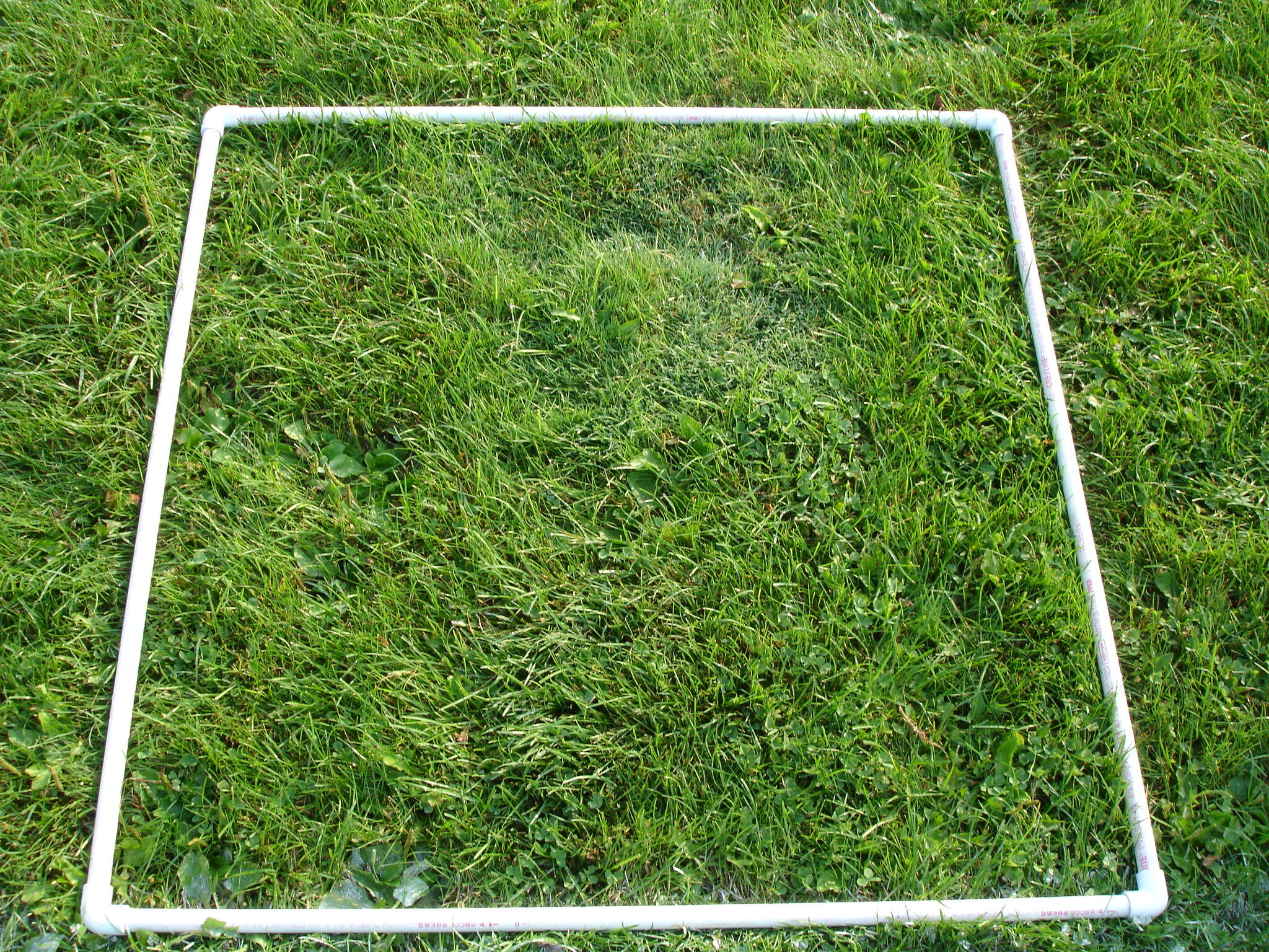Square Meter Quadrat