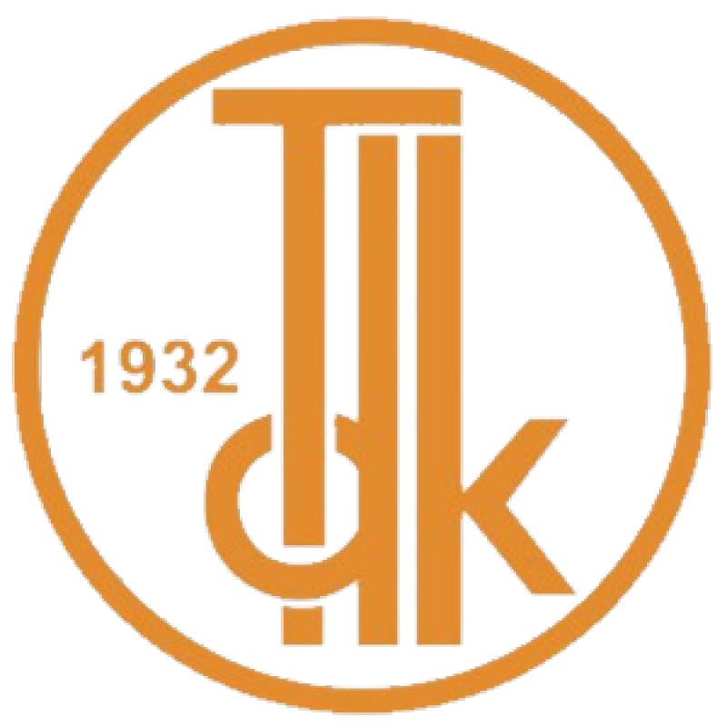 Tdk Logo