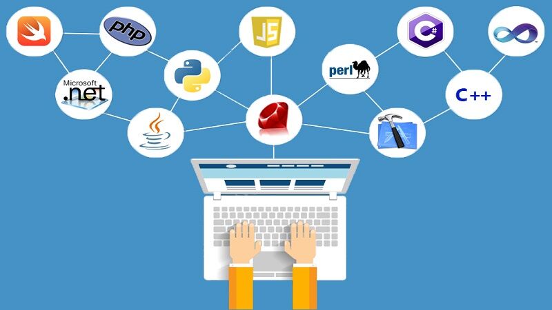 Web Programming Languages