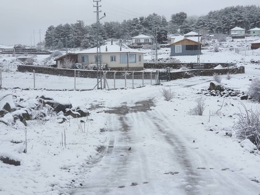 Ankara Kar Yağışı (1)