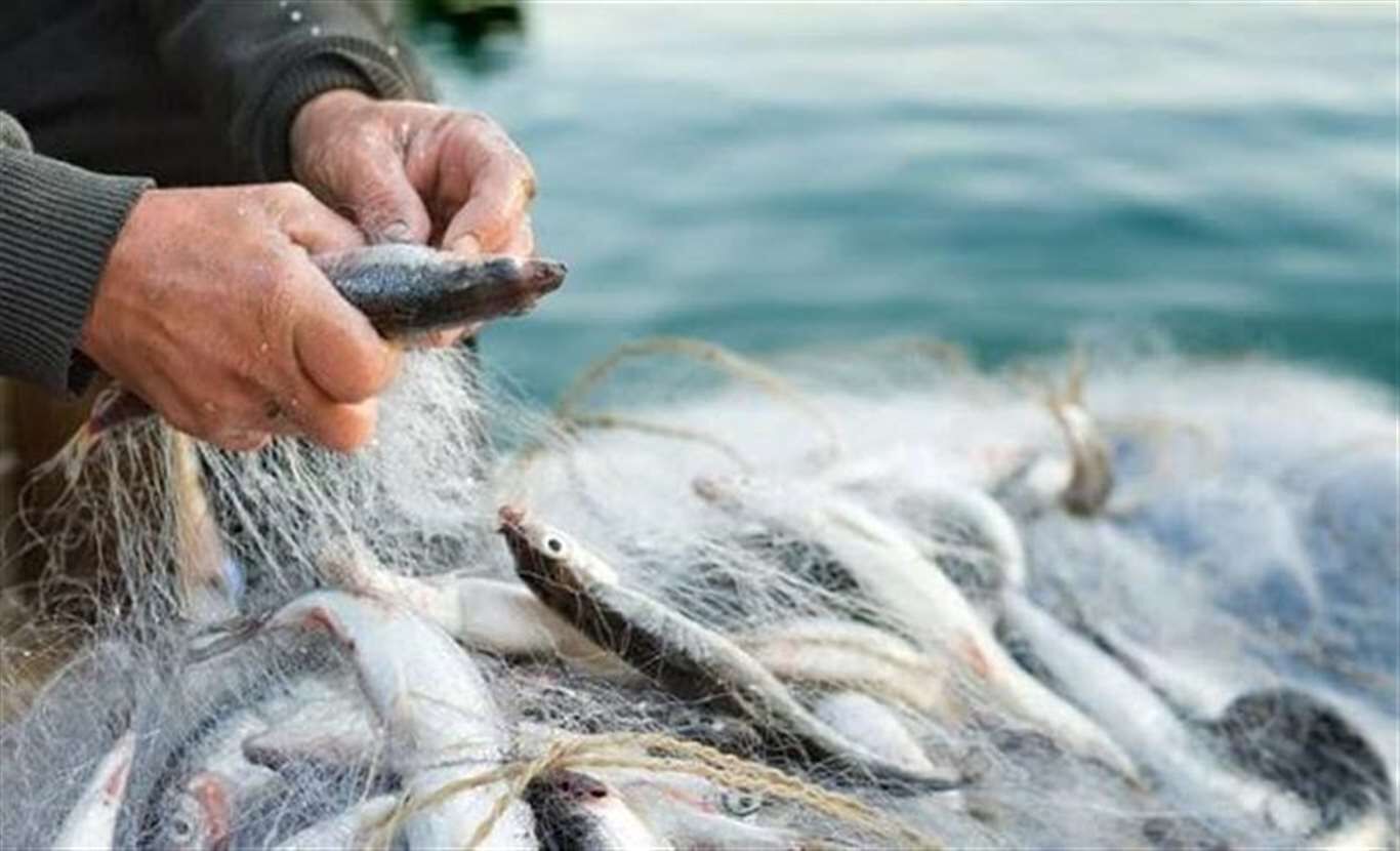 Denizlerde Av Yasağı Başlıyor