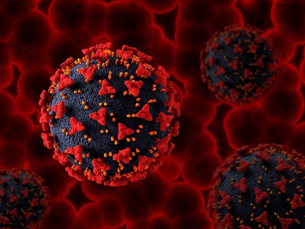 Hepatit B-2