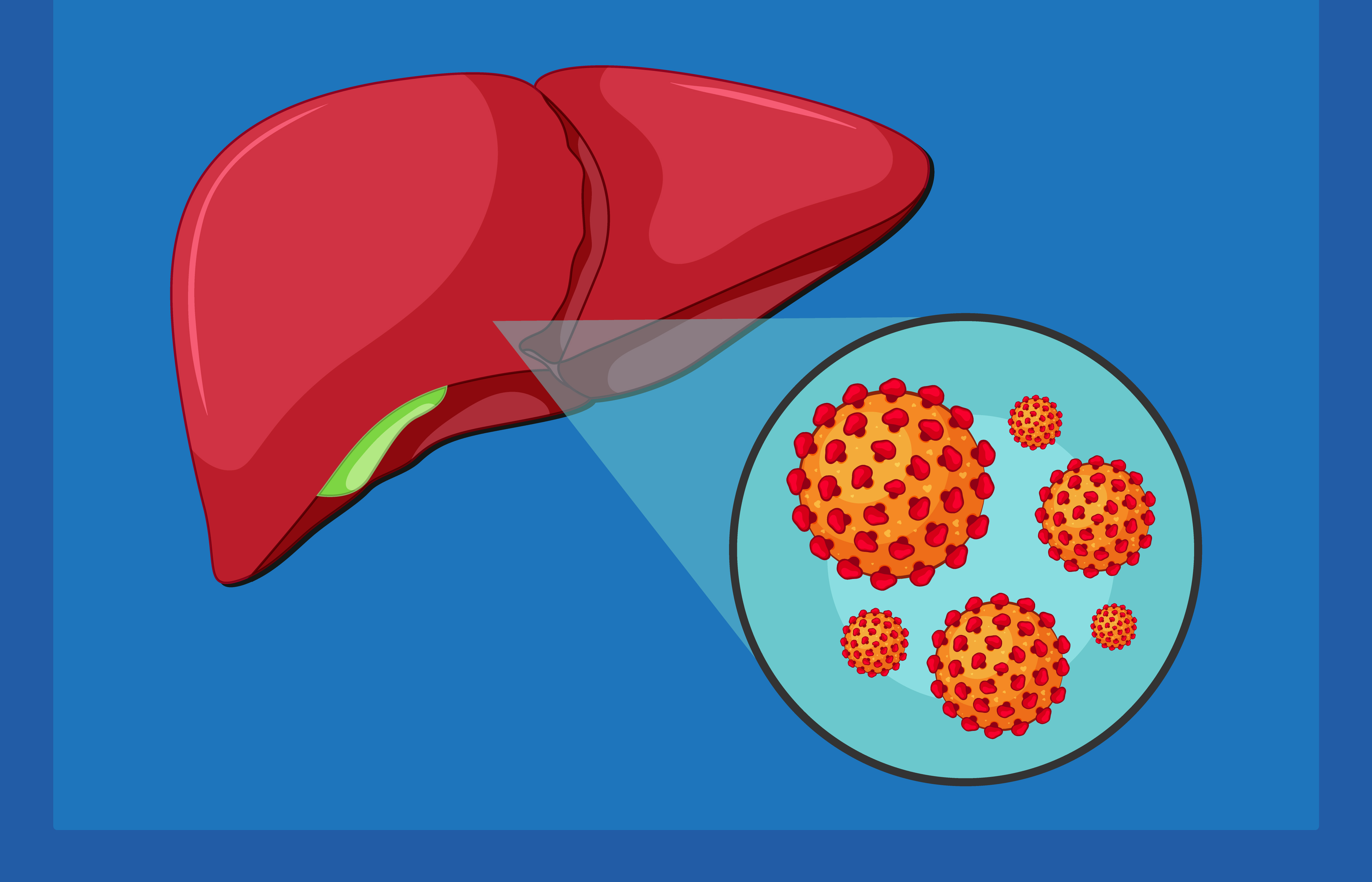 Hepatit B Ve C Nedir