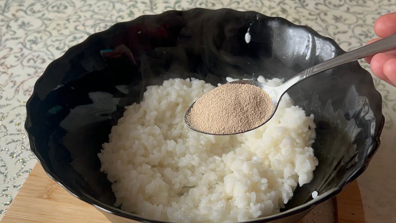 Maxresdefault (1)-28