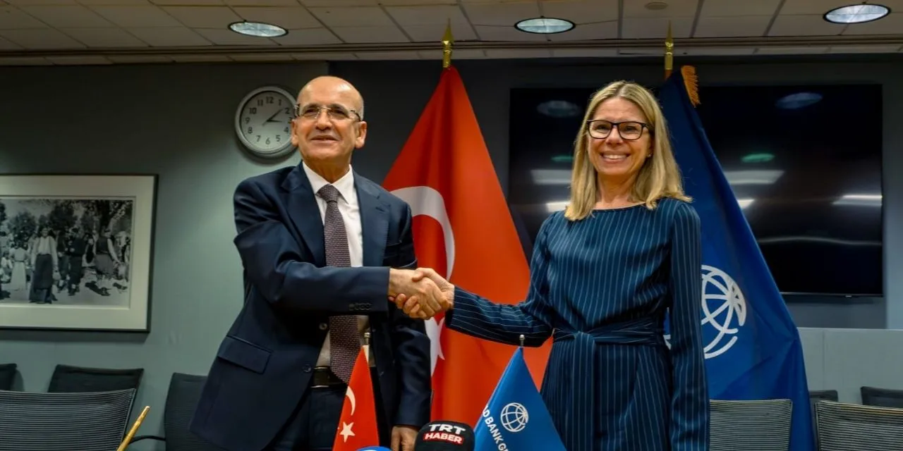 Şimsek2