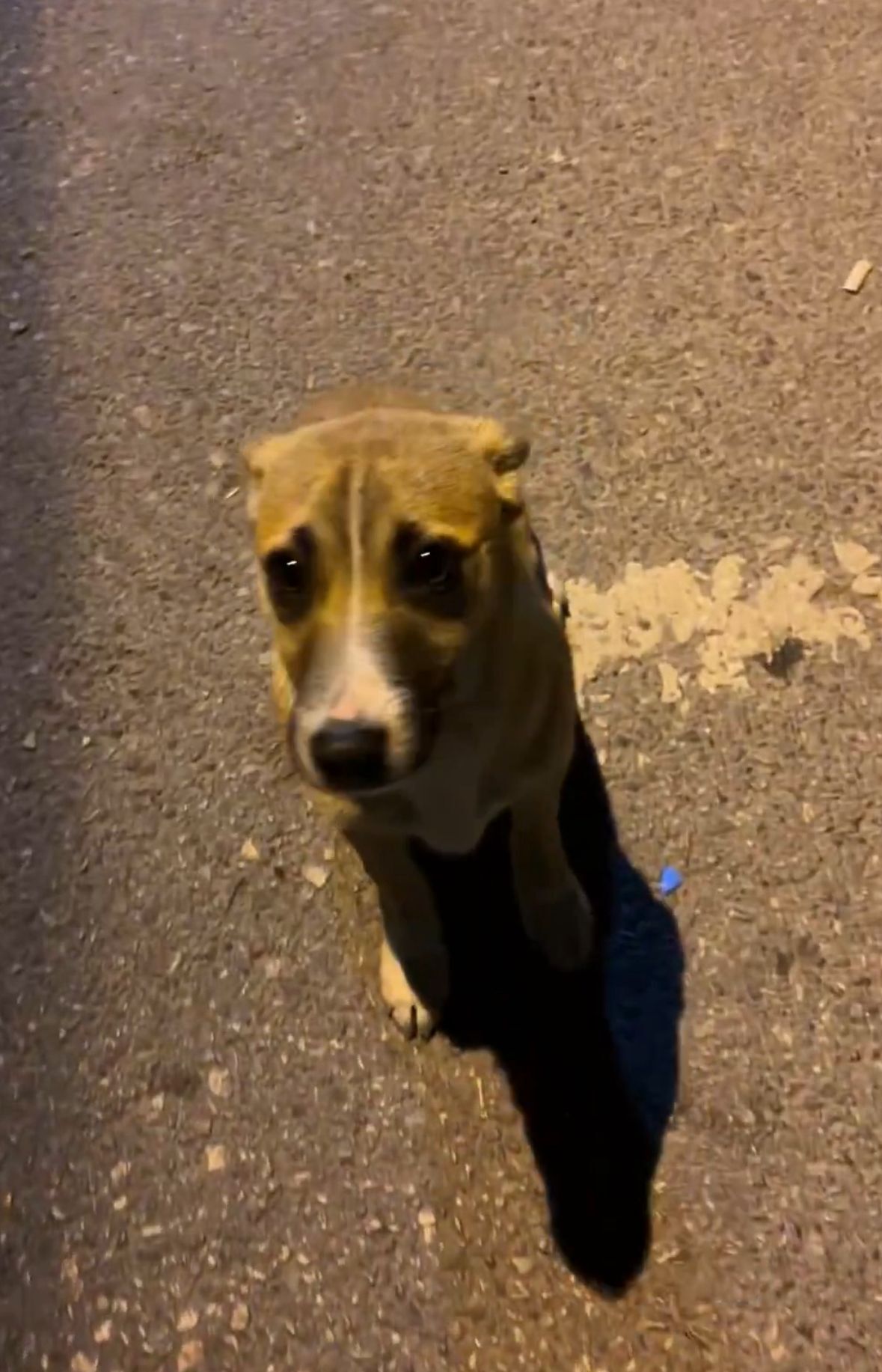 Whatsapp Image 2026 04 21 At 17.22.16