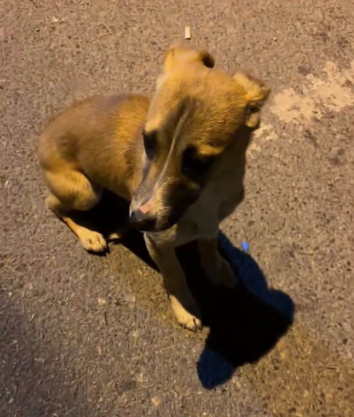 Whatsapp Image 2026 04 21 At 17.22.18