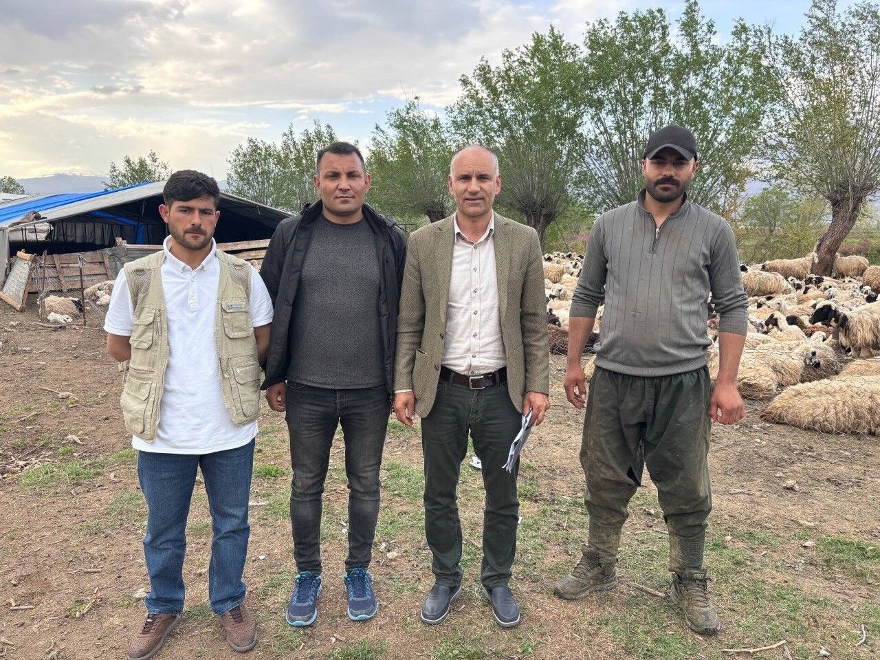 150 Bin Tl’lik Çoban Ücretleri Sonrası Şaşırtan Hamle! Erzincan’da Ilk Kez Uygulandı (2)