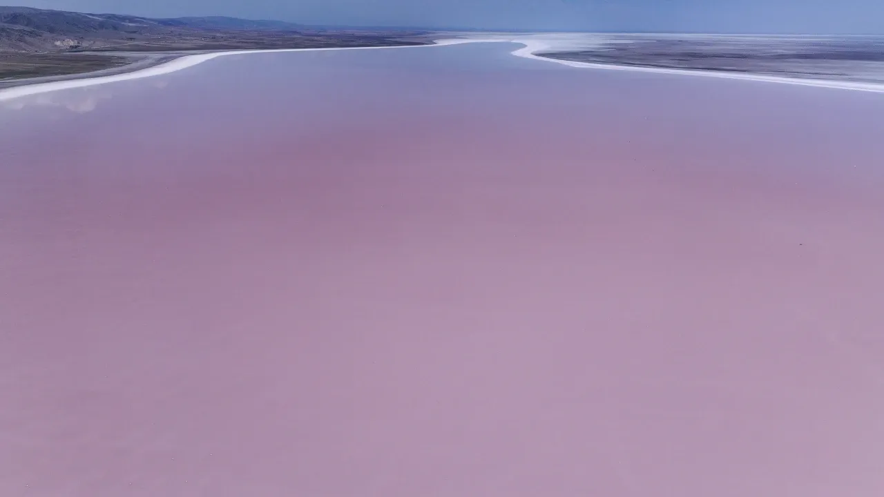 325676050 1753171598