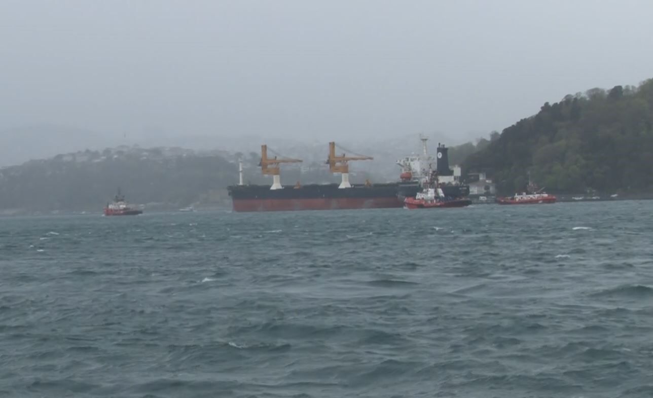 A W696585 02