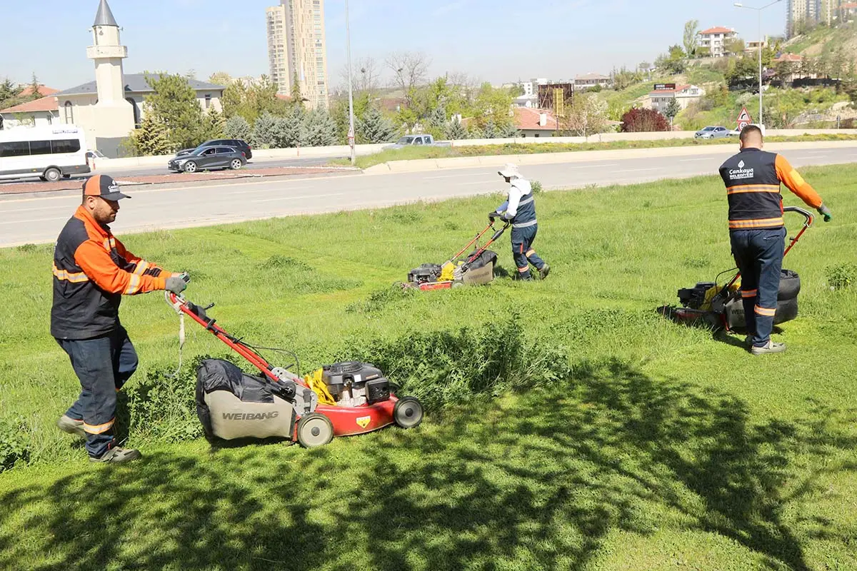 Cankaya Bld Parklar Cim Bicme Calismasi 01052026 1 N1Sqz0Ce