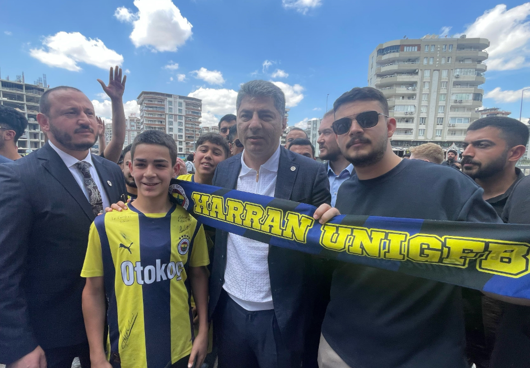 Hakan Safi 4