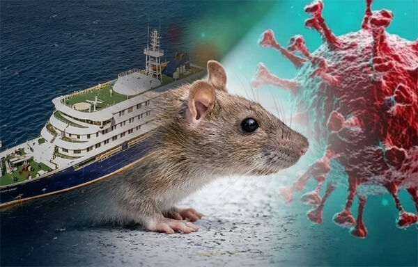 Hantavirus Fare