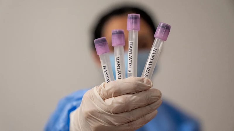 Hantavirus Nedir Andes Virusu Nasil Bulasir Belirtileri Neler Ve Insandan Insana Gecer Mi