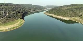 Images (7)-58