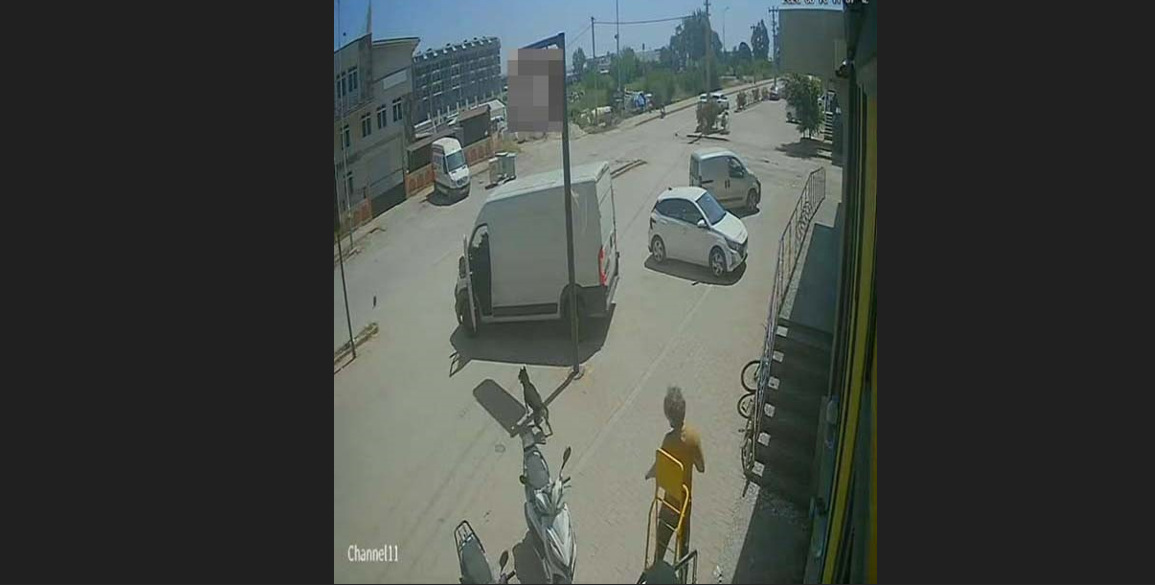 Market Önünde Vahşet; Hayvanseverler Ayakta! Kediyi Ezip Köpeği Tekmeledi (1)