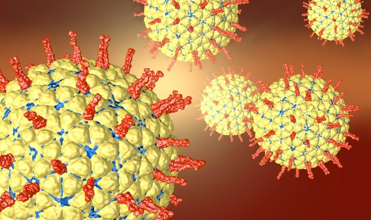 Rotavirüs-2