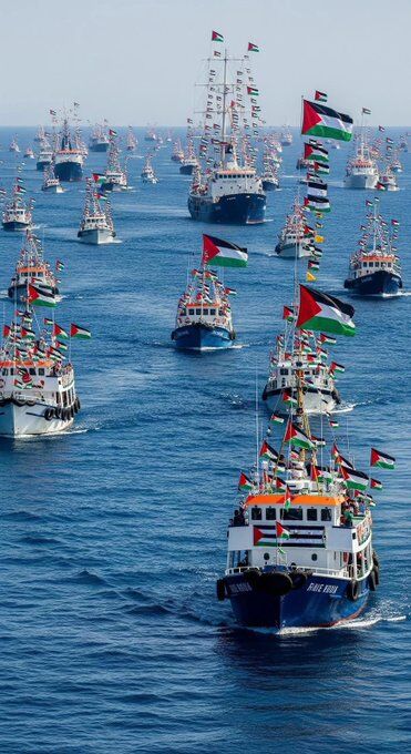 Sumud123