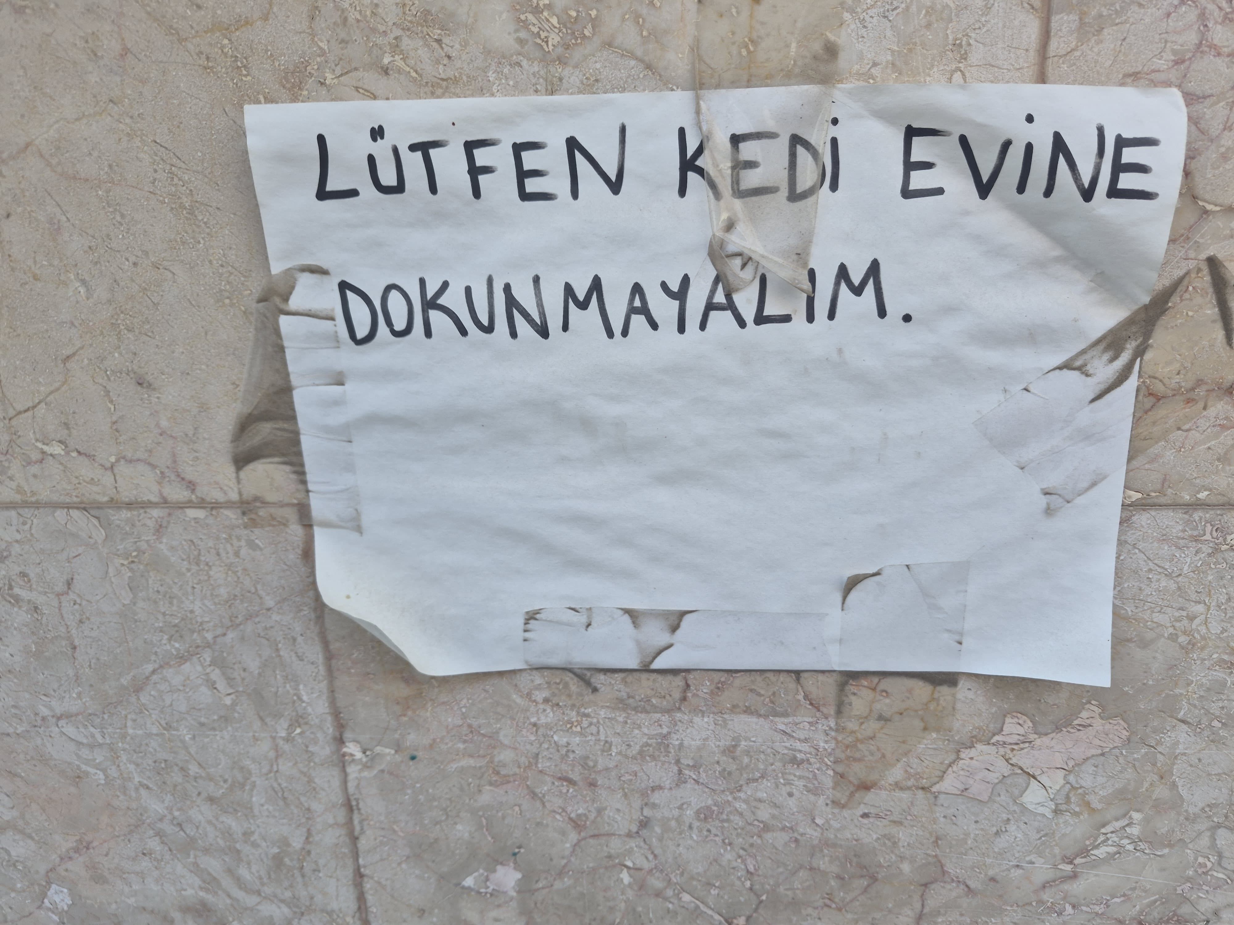 A W728082 04